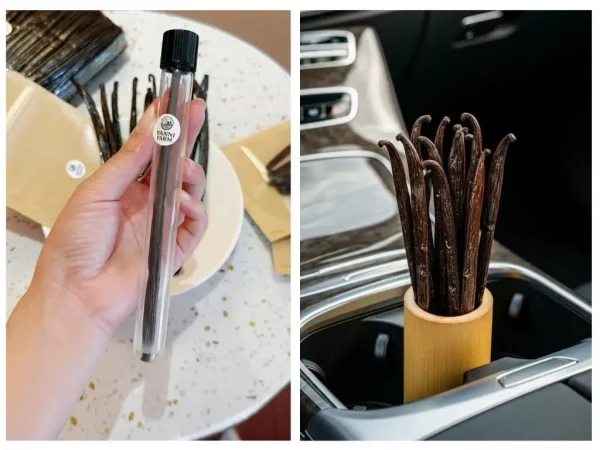 Quả Vani Indonesia - Ảnh 3