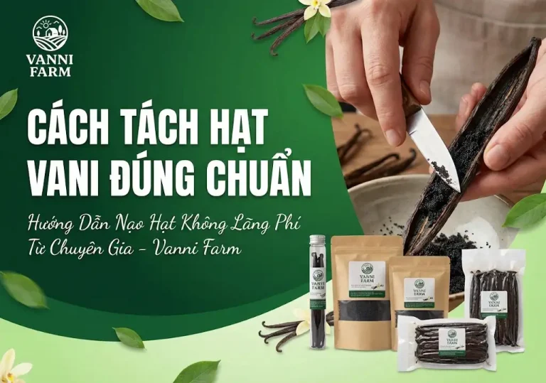Cách Tách Hạt Vani Đúng Chuẩn