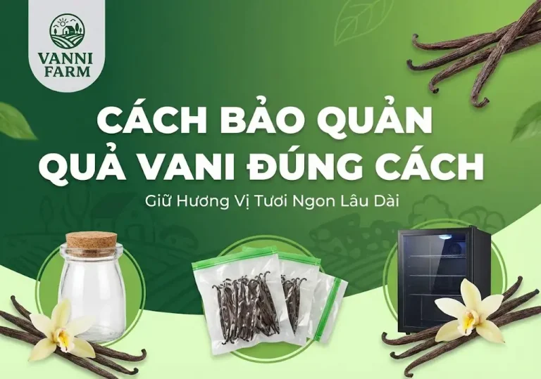 Cách bảo quản quả vani đúng cách