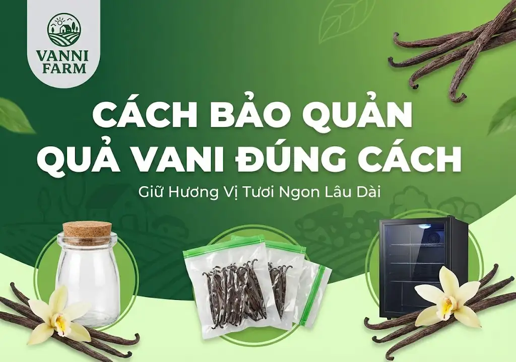 Cách bảo quản quả vani đúng cách