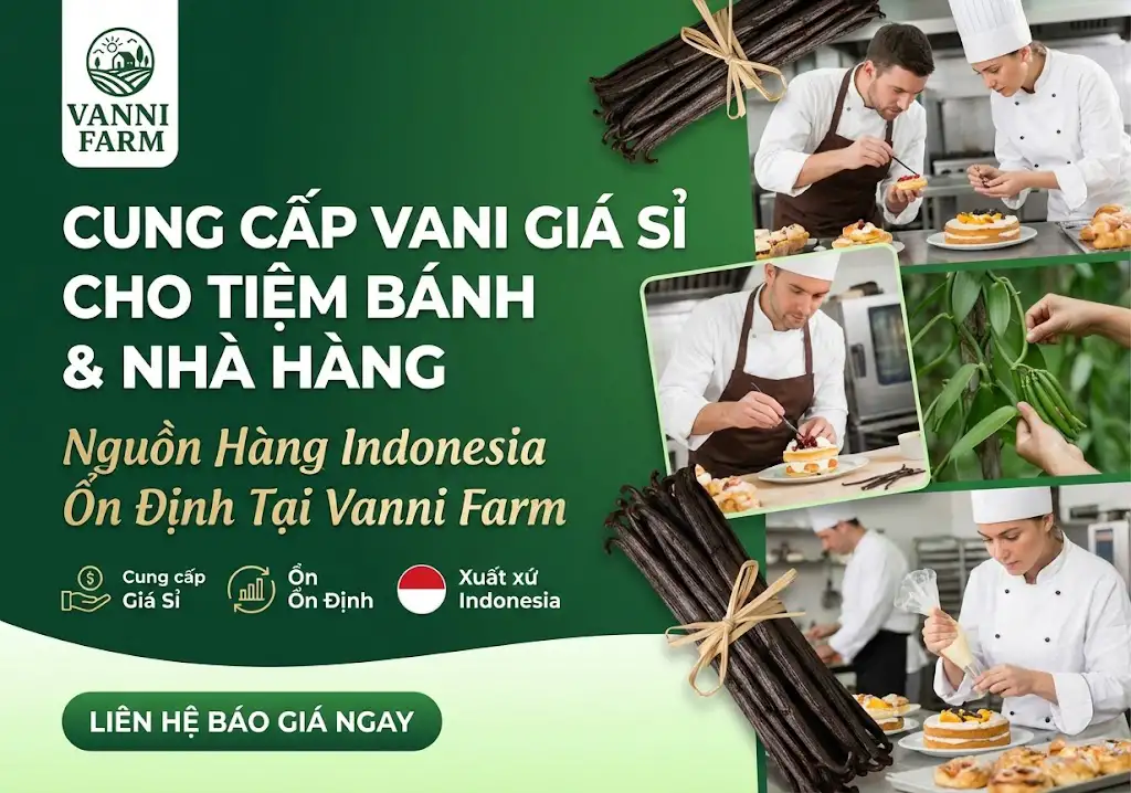 Cung Cấp Vani Giá Sỉ