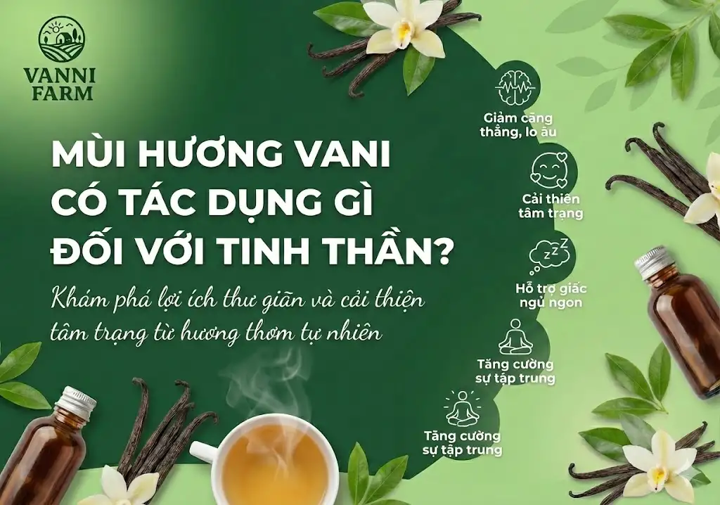 Mùi hương vani có tác dụng gì đối với tinh thần