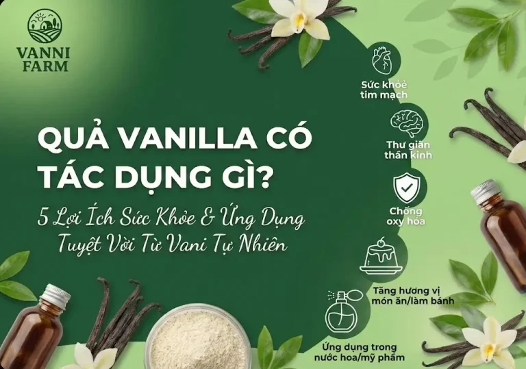 Quả Vanilla Có Tác Dụng Gì
