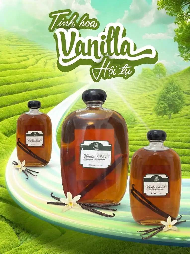 Chiết xuất vanilla một cách để pha chế tiết kiệm